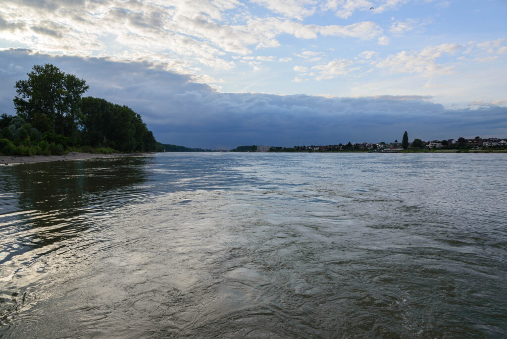 Rhein bei Hersel